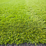 Czy sztuczna trawa na boisku jest lepszym rozwiązaniem niż trawa naturalna?