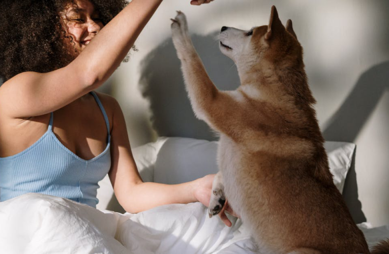 Jak rozszyfrować język psich pocałunków: Co oznacza kiedy pies liże człowieka po rękach?