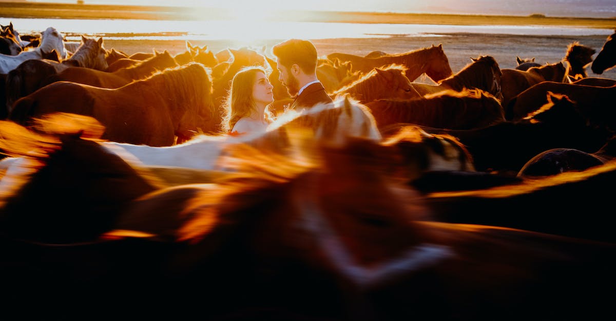 Dinozaury: fascynująca podróż w prehistoryczny świat