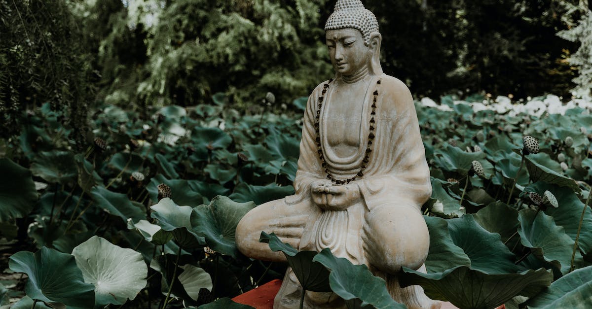 Gdzie diabeł nie może tam babę pośle film 2022: Zapowiedź najbardziej oczekiwanych produkcji