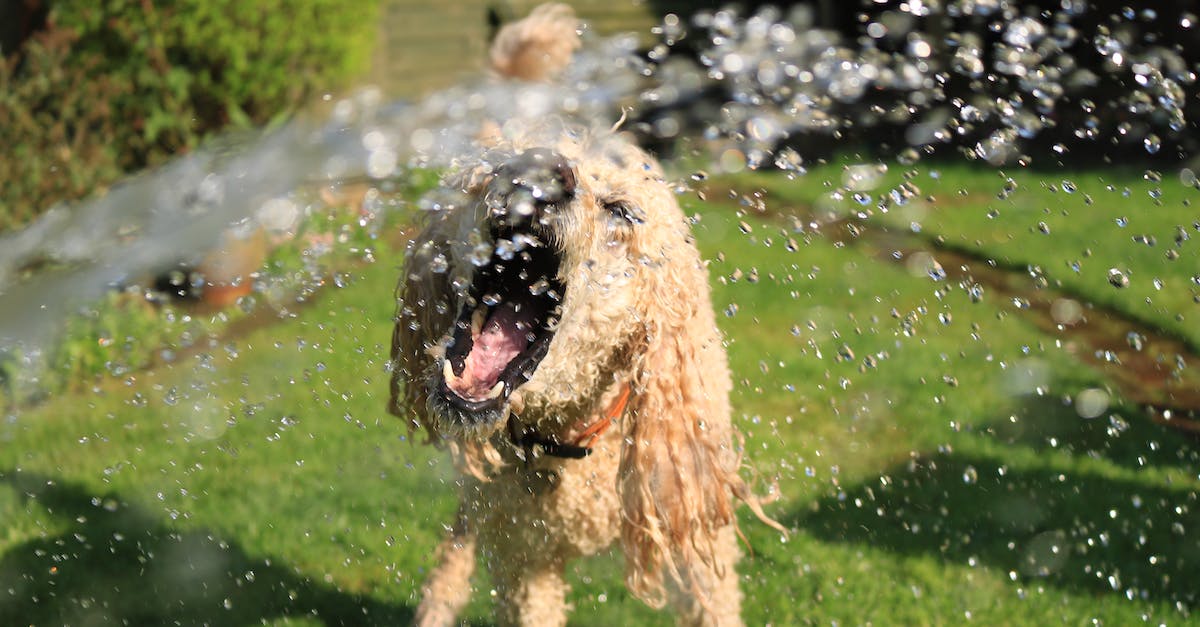 10 niezwykłych i zabawnych ciekawostek które rozśmieszają każdego